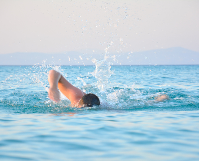 Just Keep Swimming