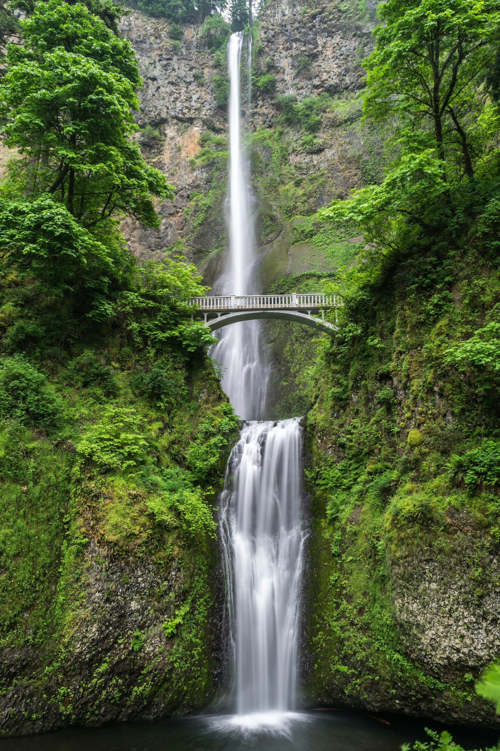 Nature and Mental Health: A Powerful Connection