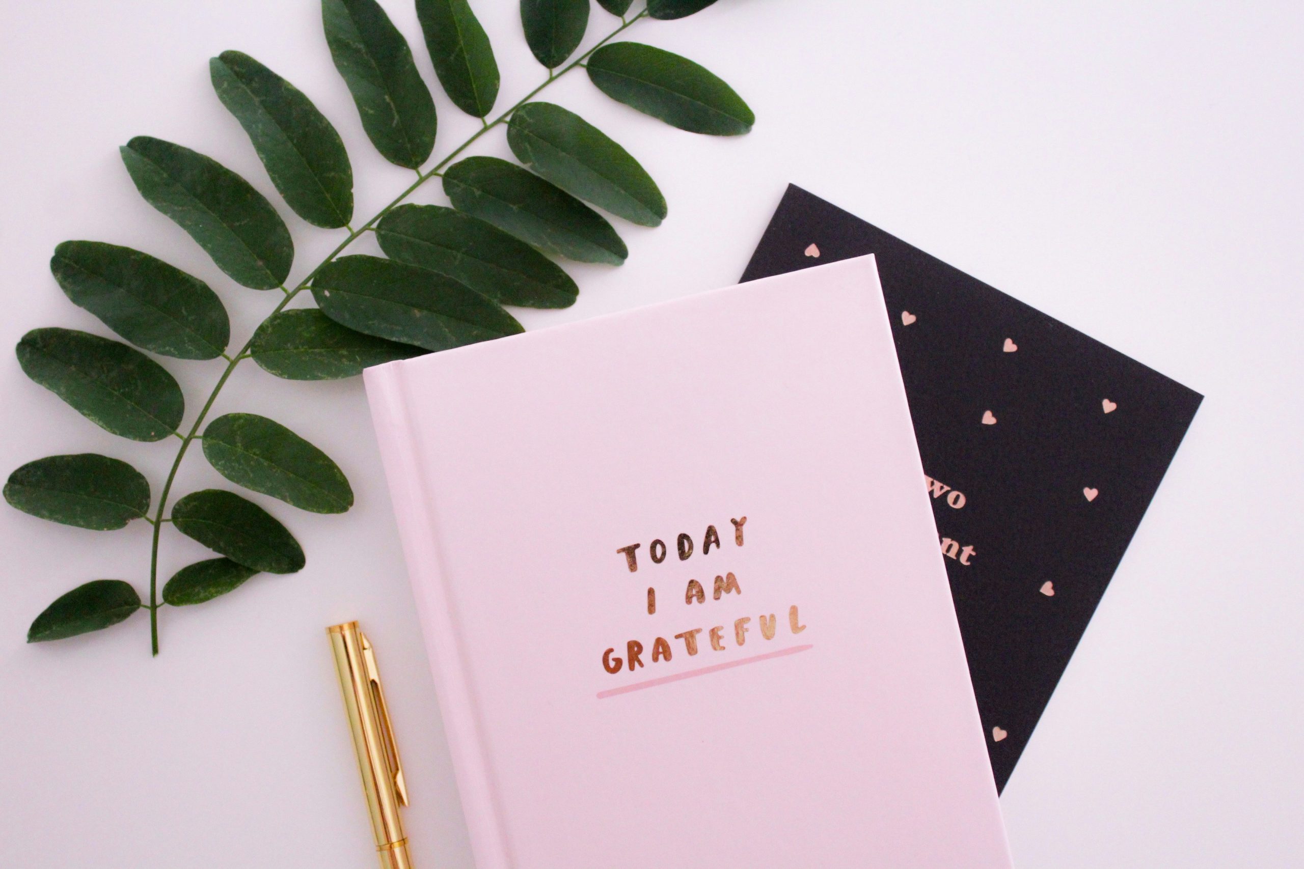 Seasons Change—But Your Gratitude Practice Shouldn't: The Quiet Superpower of a Gratitude Journal