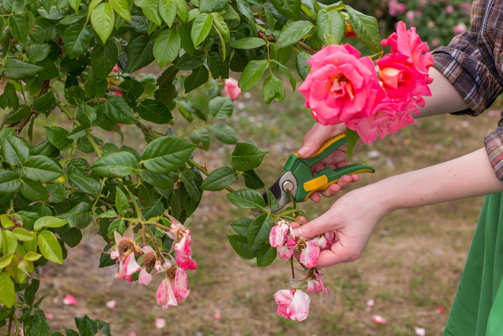 Time for Pruning