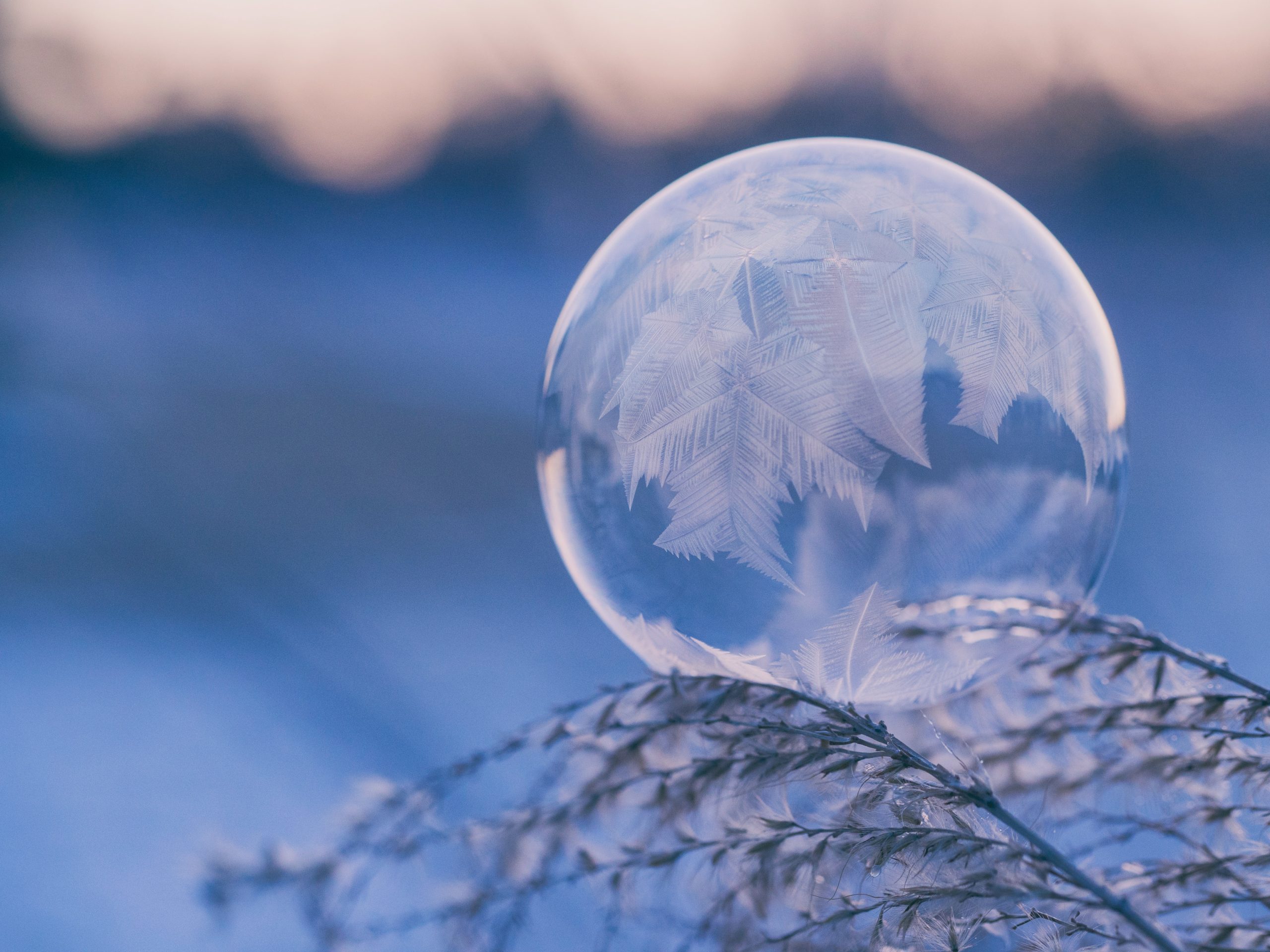 Winter Blues